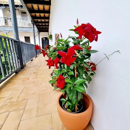 Apartamento Con Patio Sevillano Sevilla