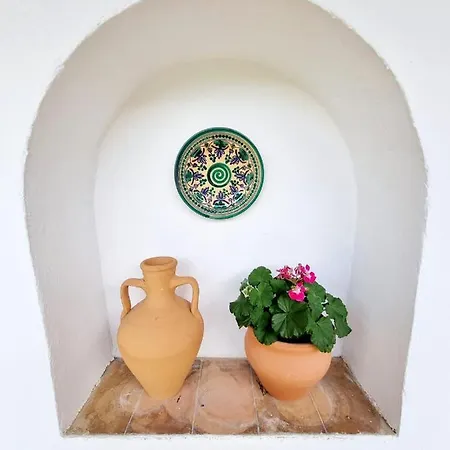 Apartment Con Patio Sevillano Seville